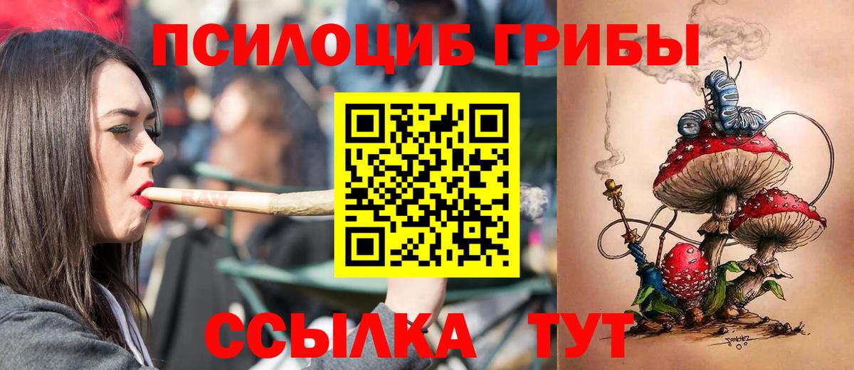 Псилоцибиновые грибы ЛСД Гудермес