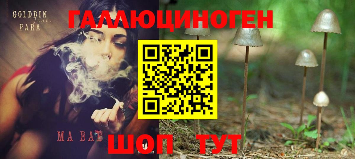Псилоцибиновые грибы MAGIC MUSHROOMS  Галлюциногенные грибы Magic Shrooms  Вход с VPN  Гудермес 